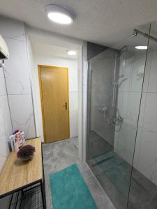 a bathroom with a shower and a wooden door at Villa Giulia in Bihać