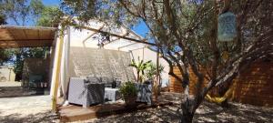 a patio with two chairs and a tree at Au Cabanon in Saint-Laurent-dʼAigouze