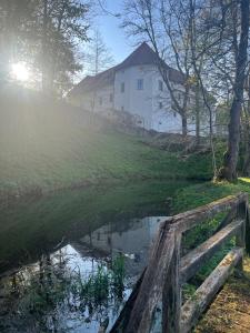 a house on a hill with a fence and a pond at JUNGLE Wellness Apartment in Trzin