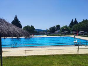 a large swimming pool with blue water in a park at Casa Amarilla Arribes in Cerezal de Peñahorcada