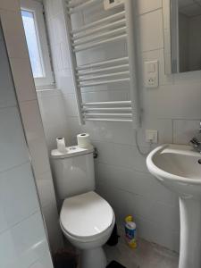 a white bathroom with a toilet and a sink at Studio in Remiremont