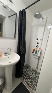 a bathroom with a shower and a sink at Studio in Remiremont