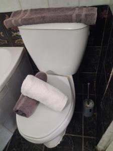 a pair of towels sitting on a toilet seat at NiRa house in Pefkochori