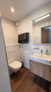 a bathroom with a sink and a toilet and a mirror at Gasthof Söll in Niedertaufkirchen +39 photos