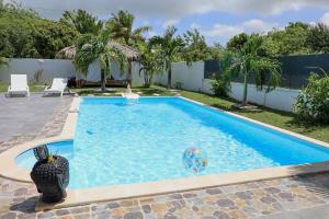 a swimming pool with a ball in the water at Alpinia villa O'Mangos in Saint-François