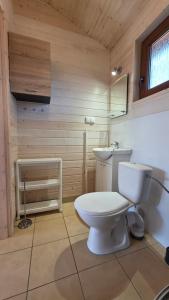 a bathroom with a white toilet and a sink at LAZY DAYS domek nr 26 w Borsku in Borsk +41 photos