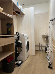 a laundry room with a washing machine and a sink at Les Suites du Midi in Saint-Paul-dʼEspis