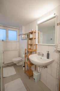 a bathroom with a sink and a toilet and a mirror at Chalet zum See in Bregenz +10 photos