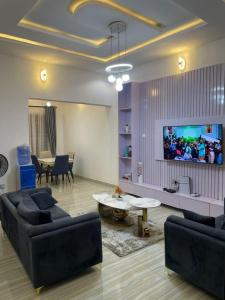 a living room with two couches and a tv at Harmony Villa in Nnewi