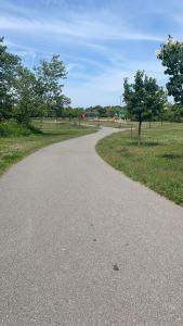 a winding road in a park with trees and grass at Harmony Villa in Nnewi