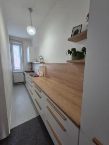 a kitchen with a wooden counter top in a room at LP 1926 aneb U nás doma in Zlín