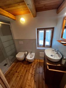 a bathroom with a sink and a toilet and a sink at L'Antico Piol de Feltre in Feltre