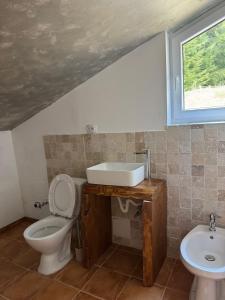 a bathroom with a toilet and a sink and a window at KraftColibita in Colibiţa +14 photos