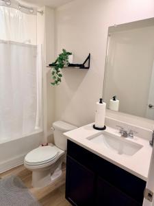 a bathroom with a sink and a toilet and a mirror at Paradise in the Springs in Citrus Springs