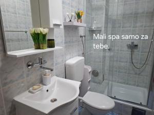 a bathroom with a toilet and a sink and a shower at AMADA apartman in Vranješ +26 photos