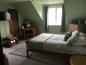 a green bedroom with a bed and a window at Woodcockfaulds House in Stirling