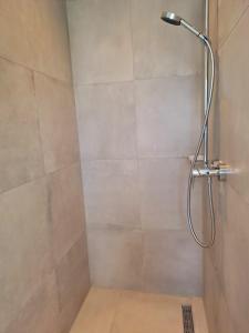 a shower with a shower head in a bathroom at Penthouse Vue Panoramique in Mechernich