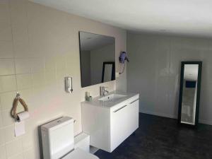 a bathroom with a sink and a toilet and a mirror at T2 cyclamen independent in Cholet