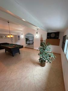 a room with a pool table and a potted plant at Coeur Cevennes in La GrandʼCombe