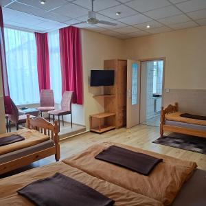 a large room with two beds and a television at Pension Lehmann in Radebeul