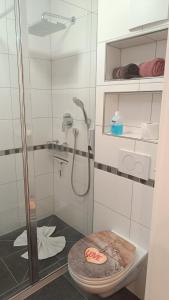 a bathroom with a shower and a toilet at Fewo Gabriela Allgäu in Immenstadt im Allgäu +47 photos