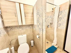 a small bathroom with a toilet and a shower at Little park house with car charger in Stupava +28 photos