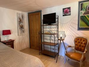 a bedroom with a bed and a television and a chair at Chambre Le mas d'Adelice in Taulignan