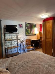 a bedroom with a bed and a chair and a desk at Chambre Le mas d'Adelice in Taulignan +19 photos