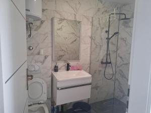 a bathroom with a toilet and a sink and a shower at Apartman Skradin nono in Skradin