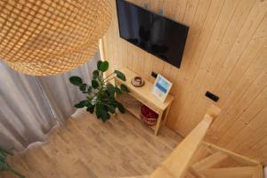 a living room with a television and a potted plant at Stodoła Pod Gwiazdami - Jezioro Głuszyńskie in Orle