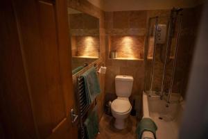a small bathroom with a toilet and a shower at Sea View Ultimate Boutique escape! in Barnstaple +27 photos