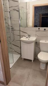 a bathroom with a toilet and a sink and a shower at Apartament 4 Słoneczna in Ełk