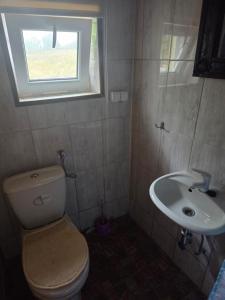 a bathroom with a toilet and a sink at Chata Między Górami in Zalesie +18 photos