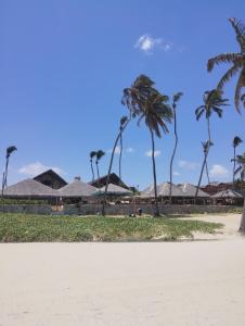 a view of a beach with palm trees at Eco Paradise 228 in Cumbuco