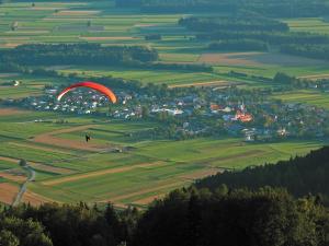 a person flying a parachute over a green field at Hiša Kovač in Velesovo