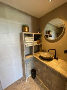 a bathroom with a sink and a mirror at B&B Opoes huusie in Lutten