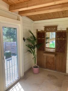a porch with a potted plant and a window at Waldchalet in Burgthann