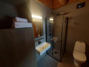 a bathroom with a toilet and a sink and a shower at Rondane River Lodge in Enden +110 photos