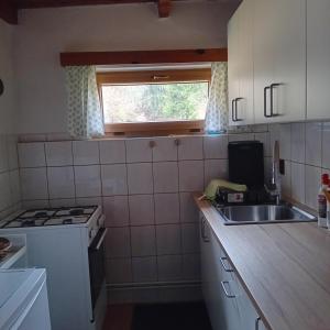 a kitchen with a sink and a stove and a window at Chata Gerlinda in Kašperské Hory