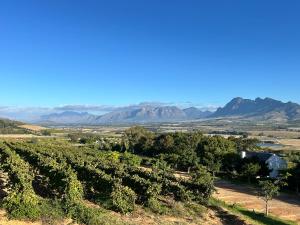 a view of a vineyard with mountains in the background at Naby-My Stellenbosch Cottage in Stellenbosch