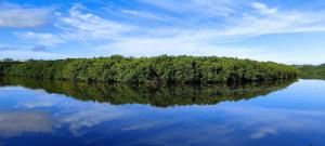 an island in the water with trees on it at Quarto em Casa Completa no Centro de Ilhéus in Ilhéus