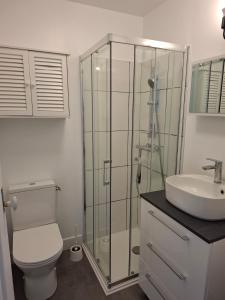 a bathroom with a shower and a toilet and a sink at Escale cosy à Blois in Blois