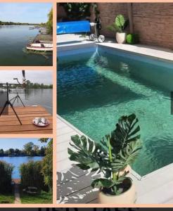 a collage of photos with a pool and a plant at Rsd-Tass vendéghàz in Tass