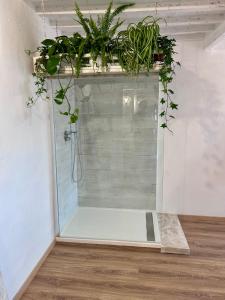 a room with a shower with plants on the ceiling at Palazzo Calderini in Castiglion Fiorentino