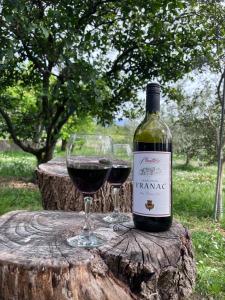 two glasses of red wine sitting on a tree stump at Holiday home Lavande in Tivat