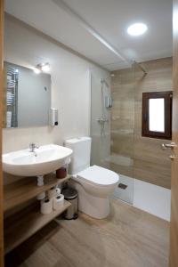 a bathroom with a toilet and a sink and a shower at Apartamentos California in Béjar