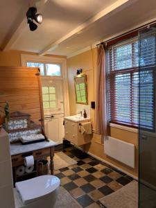 a bathroom with a toilet and a sink and a window at Studio 1772 in Kamperland +27 photos