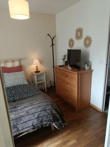 a bedroom with a bed and a tv on a dresser at Petite maison dans le Morvan in Luzy