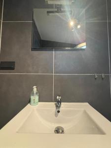 a white sink in a bathroom with a mirror at Waegen Uus in Wolphaartsdijk