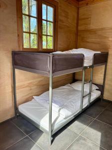 a bunk bed in a room with a window at Waegen Uus in Wolphaartsdijk